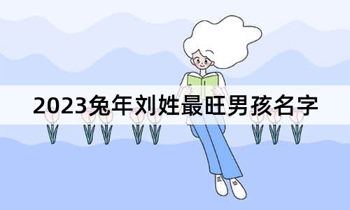 2023兔年劉姓最旺男孩名字